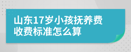 山东17岁小孩抚养费收费标准怎么算