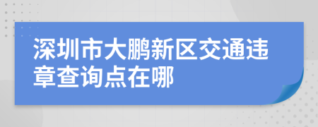 深圳市大鹏新区交通违章查询点在哪