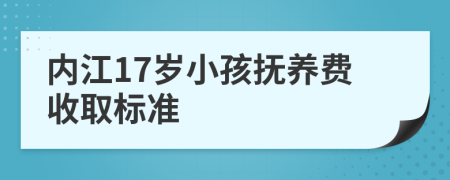 内江17岁小孩抚养费收取标准