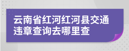 云南省红河红河县交通违章查询去哪里查