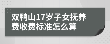 双鸭山17岁子女抚养费收费标准怎么算