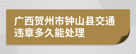 广西贺州市钟山县交通违章多久能处理