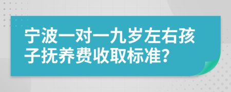 宁波一对一九岁左右孩子抚养费收取标准？