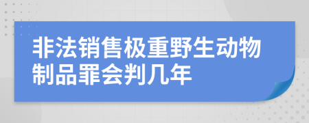 非法销售极重野生动物制品罪会判几年