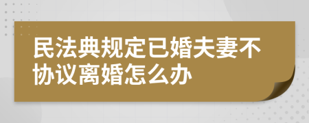 民法典规定已婚夫妻不协议离婚怎么办