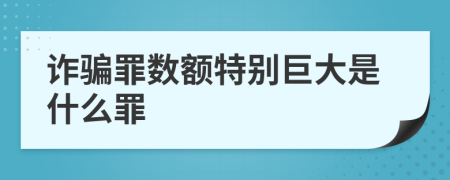 诈骗罪数额特别巨大是什么罪