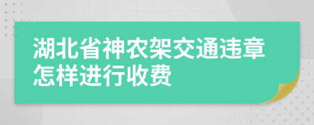 湖北省神农架交通违章怎样进行收费