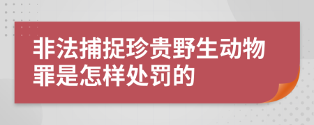 非法捕捉珍贵野生动物罪是怎样处罚的