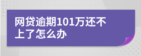 网贷逾期101万还不上了怎么办