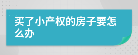买了小产权的房子要怎么办
