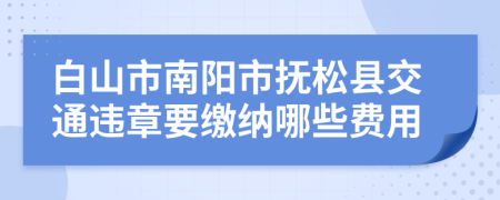 白山市南阳市抚松县交通违章要缴纳哪些费用