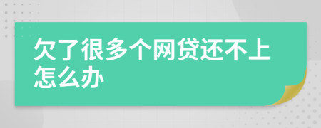 欠了很多个网贷还不上怎么办