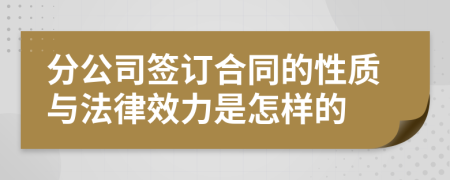 分公司签订合同的性质与法律效力是怎样的