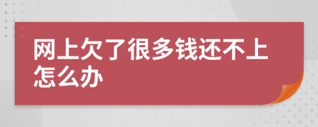 网上欠了很多钱还不上怎么办