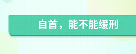 自首，能不能缓刑