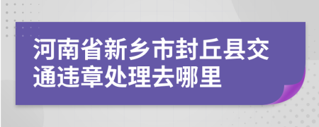 河南省新乡市封丘县交通违章处理去哪里