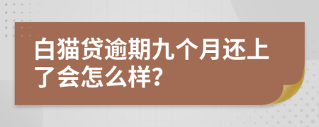 白猫贷逾期九个月还上了会怎么样？