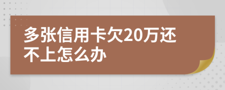 多张信用卡欠20万还不上怎么办
