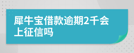 犀牛宝借款逾期2千会上征信吗