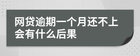 网贷逾期一个月还不上会有什么后果