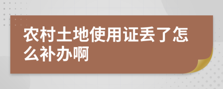 农村土地使用证丢了怎么补办啊