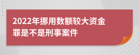 2022年挪用数额较大资金罪是不是刑事案件