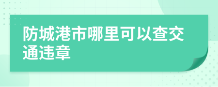 防城港市哪里可以查交通违章
