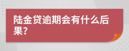 陆金贷逾期会有什么后果？