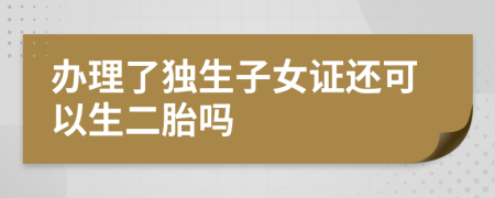 办理了独生子女证还可以生二胎吗