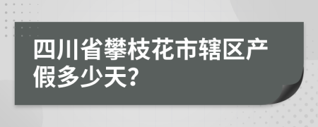 四川省攀枝花市辖区产假多少天？