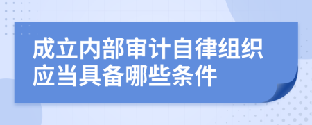 成立内部审计自律组织应当具备哪些条件