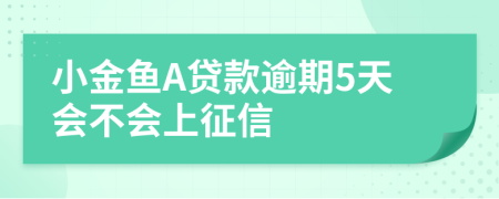 小金鱼A贷款逾期5天会不会上征信