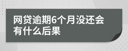 网贷逾期6个月没还会有什么后果