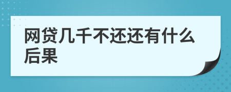 网贷几千不还还有什么后果