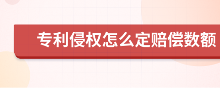 专利侵权怎么定赔偿数额