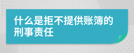 什么是拒不提供账簿的刑事责任