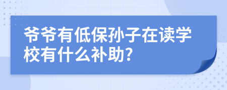 爷爷有低保孙子在读学校有什么补助?