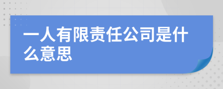 一人有限责任公司是什么意思