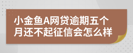 小金鱼A网贷逾期五个月还不起征信会怎么样