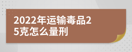 2022年运输毒品25克怎么量刑