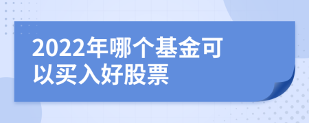 2022年哪个基金可以买入好股票