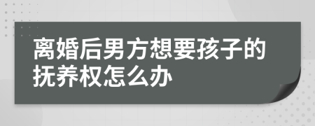 离婚后男方想要孩子的抚养权怎么办