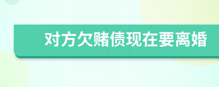 对方欠赌债现在要离婚