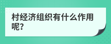 村经济组织有什么作用呢？