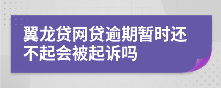 翼龙贷网贷逾期暂时还不起会被起诉吗