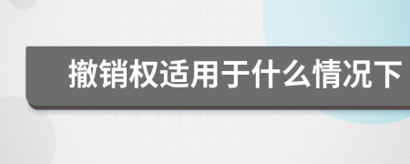 撤销权适用于什么情况下