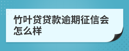 竹叶贷贷款逾期征信会怎么样