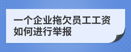 一个企业拖欠员工工资如何进行举报