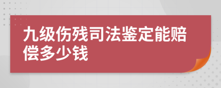 九级伤残司法鉴定能赔偿多少钱