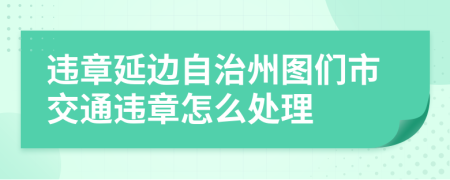 违章延边自治州图们市交通违章怎么处理